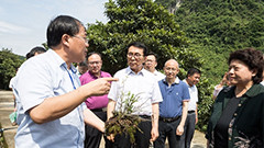 吉林省財政廳、工信廳領(lǐng)導(dǎo)聯(lián)合調(diào)研中科吉林科技產(chǎn)業(yè)創(chuàng)新平臺